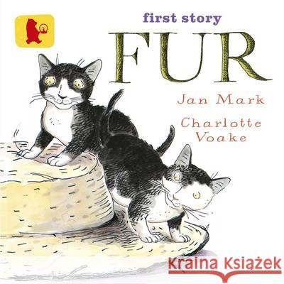 Fur Jan Mark 9781406353969 WALKER BOOKS - książka