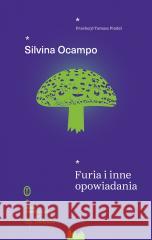 Furia i inne opowiadania Silvina Ocampo 9788308083901 Literackie - książka