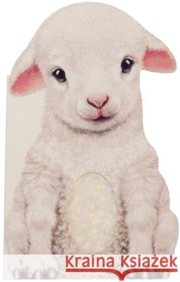 Furry Lamb Annie Auerbach Laura Rigo 9781438050133 Barron's Educational Series - książka