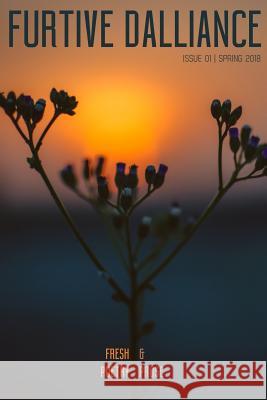 Furtive Dalliance Roy Miller 9781986004046 Createspace Independent Publishing Platform - książka