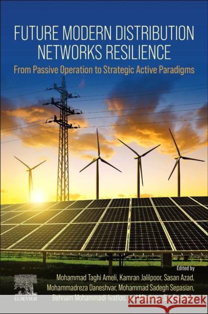 Future Modern Distribution Networks Resilience  9780443160868 Elsevier - Health Sciences Division - książka
