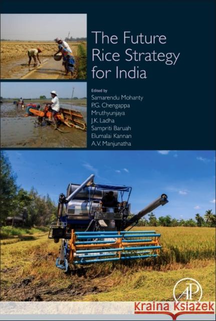 Future Rice Strategy for India   9780128139363  - książka