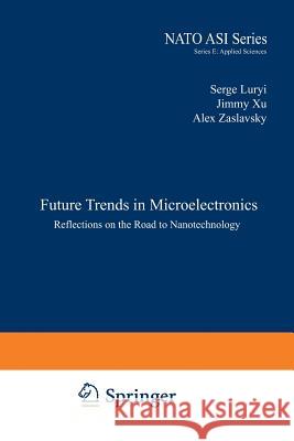 Future Trends in Microelectronics: Reflections on the Road to Nanotechnology Luryi, S. 9789401072809 Springer - książka