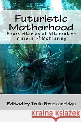 Futuristic Motherhood: Alternative Visions of Mothering Mercury Lynch Trula Breckenridge Frances Baldwin 9781448636327 Createspace - książka