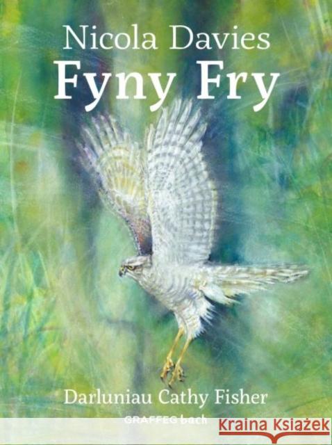 Fyny Fry Nicola Davies 9781802583649 Graffeg Limited - książka
