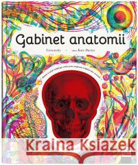 Gabinet anatomii Kate Davies, Carnovsky Silvia Quintanilla 9788381503396 Dwie Siostry - książka