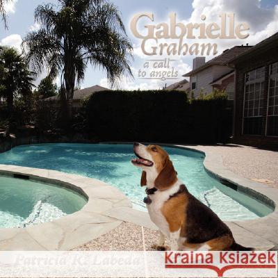 Gabrielle Graham: A Call to Angels Labeda, Patricia R. 9781434364548 Authorhouse - książka
