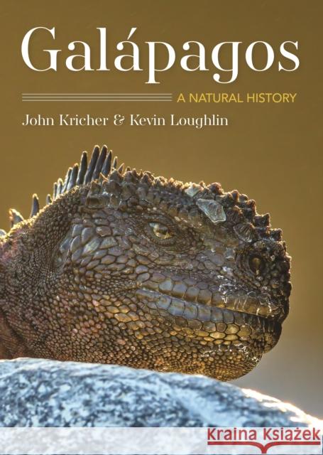 Galapagos: A Natural History  Second Edition Kevin Loughlin 9780691217246 Princeton University Press - książka