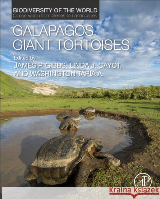 Galapagos Giant Tortoises James P. Gibbs Linda J. Cayot Washington Tapi 9780128175545 Elsevier Science Publishing Co Inc - książka