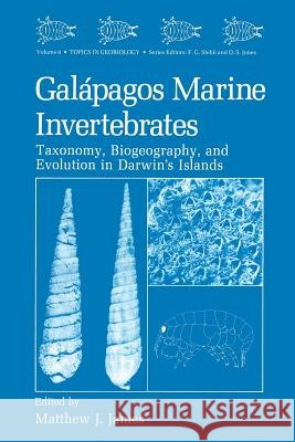 Galápagos Marine Invertebrates: Taxonomy, Biogeography, and Evolution in Darwin's Islands James, Matthew J. 9781489906489 Springer - książka