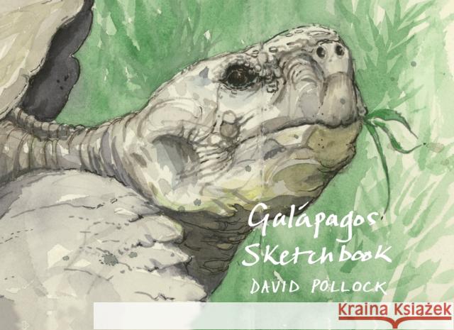 Galapagos Sketchbook David Pollock 9781843682141 Pallas Athene - książka