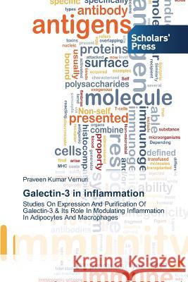 Galectin-3 in inflammation Vemuri Praveen Kumar 9783639716757 Scholars' Press - książka
