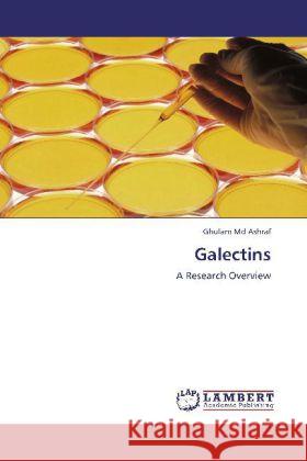 Galectins Ashraf, Ghulam Md 9783843388627 LAP Lambert Academic Publishing - książka