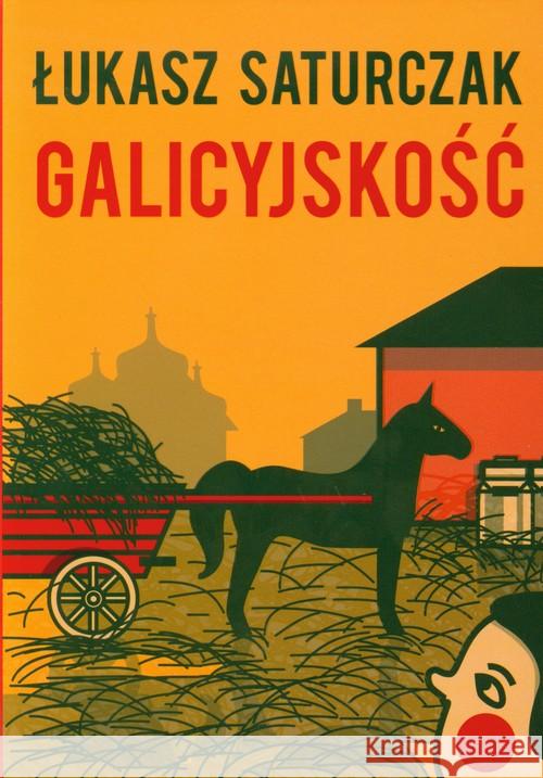 Galicyjskość Saturczak Łukasz 9788389603845 Lampa i Iskra Boża - książka