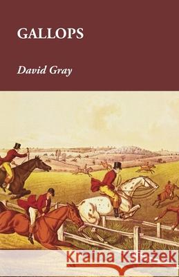 Gallops David Gray 9781473327313 Read Country Books - książka