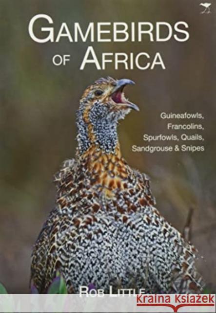 Gamebirds of Africa: Guineafowls, Francolins, Spurfowls, Quails, Sandgrouse & Snipes Rob Little   9781431430789 Jacana Media - książka
