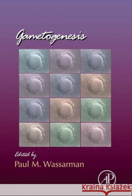 Gametogenesis: Volume 102 Wassarman, Paul M. 9780124160248  - książka