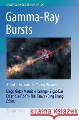 Gamma-Ray Bursts: A Tool to Explore the Young Universe Götz, Diego 9789402412789 Springer - książka