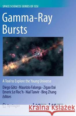 Gamma-Ray Bursts: A Tool to Explore the Young Universe Götz, Diego 9789402416404 Springer - książka