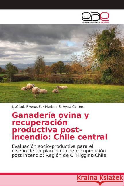 Ganadería ovina y recuperación productiva post-incendio: Chile central : Evaluación socio-productiva para el diseño de un plan piloto de recuperación post incendio: Región de O Higgins-Chile Riveros F., José Luis; Ayala Carrère, Mariana S. 9786139401857 Editorial Académica Española - książka