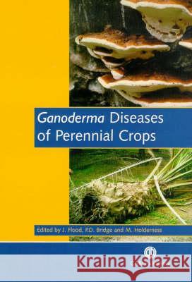 Ganoderma Diseases of Perennial Crops Flood, Julie 9780851993881 CABI Publishing - książka