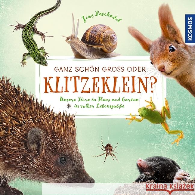 Ganz schön groß oder klitzeklein? : Unsere Tiere in Haus und Garten in voller Lebensgröße Poschadel, Jens 9783440154816 Kosmos (Franckh-Kosmos) - książka