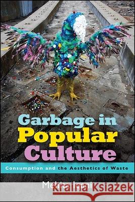 Garbage in Popular Culture: Consumption and the Aesthetics of Waste Iqani, Mehita 9781438480176 State University of New York Press - książka