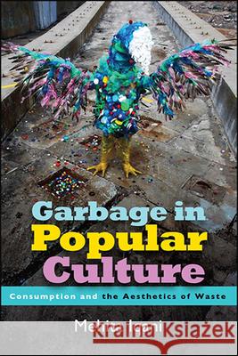 Garbage in Popular Culture: Consumption and the Aesthetics of Waste Iqani, Mehita 9781438480183 State University of New York Press - książka