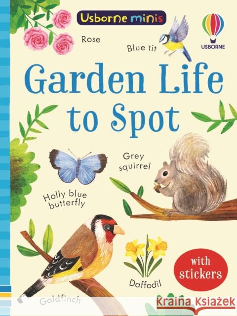 Garden Life to Spot Kate Nolan 9781803704777 Usborne Publishing Ltd - książka