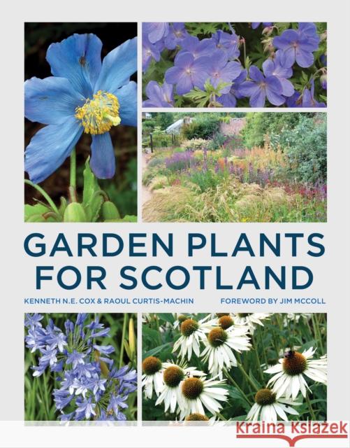 Garden Plants for Scotland Kenneth Cox Raoul Curtis-Machin 9780711236684 Frances Lincoln - książka