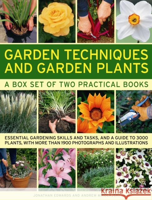 Garden Techniques and Garden Plants Jonathan Edwards 9780754825142 Anness Publishing - książka