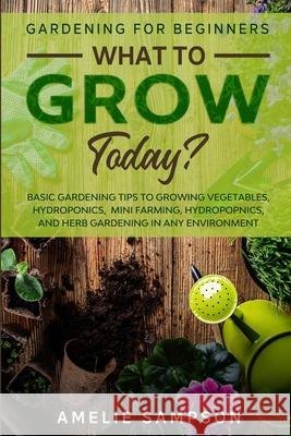 Gardening For Beginners: WHAT TO GROW TODAY? - Basic Gardening Tips To Growing Vegetables, Hydroponics, Mini Farming, Hydropopnics, and Herb Ga Amelie Sampson 9781913710491 Readers First Publishing Ltd - książka