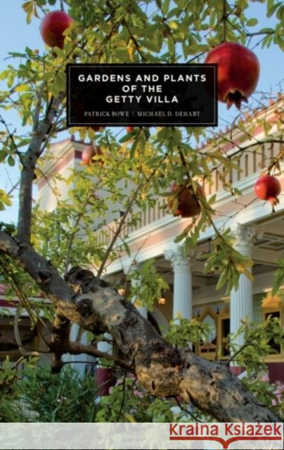 Gardens and Plants of the Getty Villa Bowe, Patrick 9781606060490  - książka