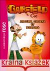 Garfield: Argent, Gloire ET Pizzas  9782012025776 Hachette