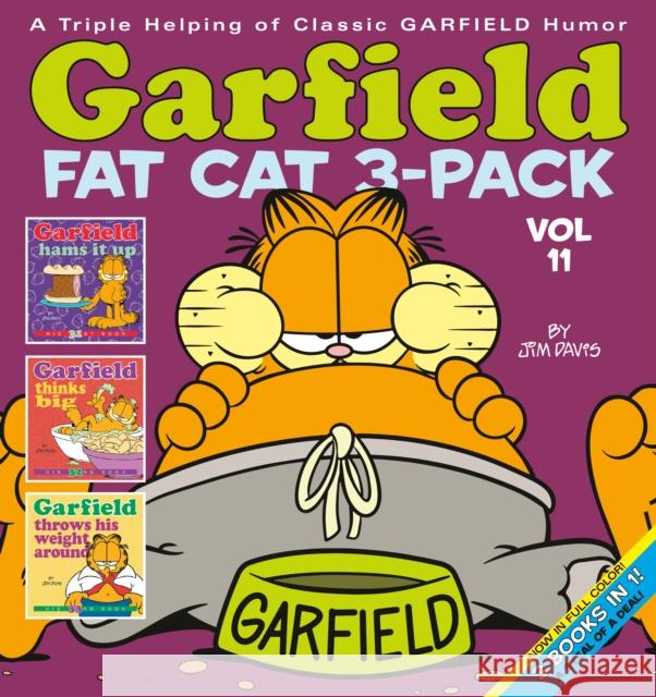 Garfield Fat Cat 3-Pack #11 Jim Davis 9780425285664 Ballantine Books - książka