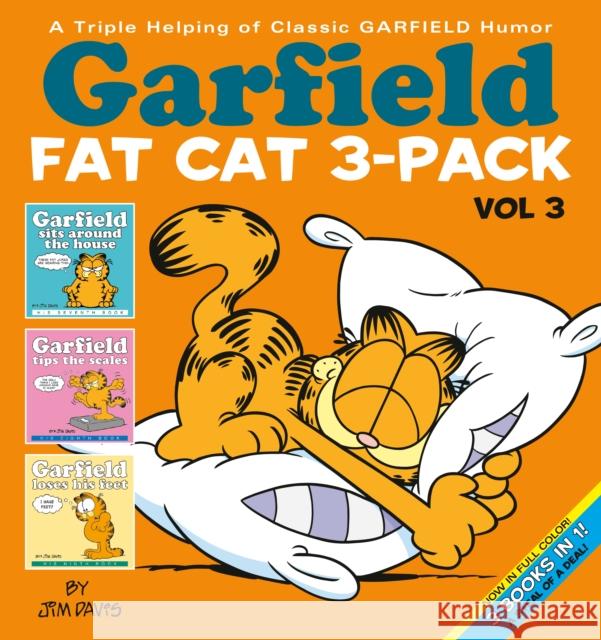 Garfield Fat Cat 3-Pack #3: A Triple Helping of Classic Garfield Humor Vol 3 Davis, Jim 9780345480880 Ballantine Books - książka
