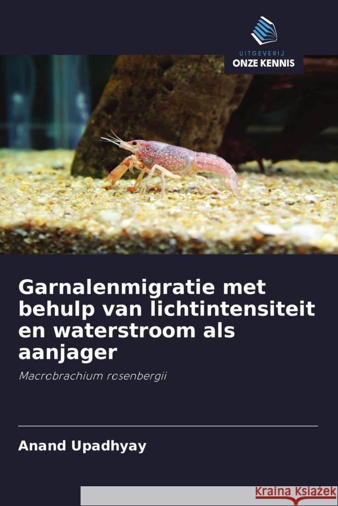 Garnalenmigratie met behulp van lichtintensiteit en waterstroom als aanjager Upadhyay, Anand 9786200861658 Uitgeverij Onze Kennis - książka