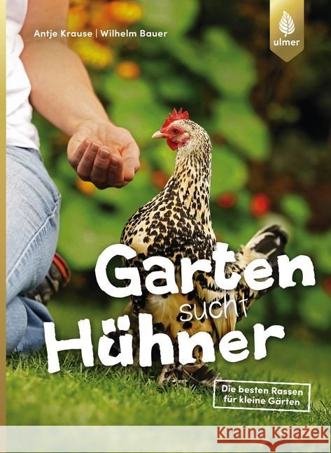 Garten sucht Hühner : Die besten Rassen für kleine Gärten Krause, Antje; Bauer, Wilhelm 9783818603410 Verlag Eugen Ulmer - książka
