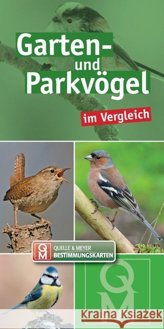 Garten- und Parkvögel im Vergleich, Bestimmungskarten  9783494016108 Quelle & Meyer - książka