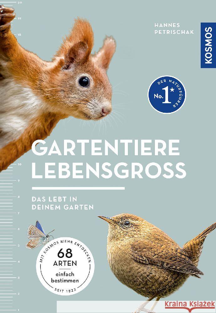 Gartentiere lebensgroß Petrischak, Dr. Hannes 9783440177761 Kosmos (Franckh-Kosmos) - książka