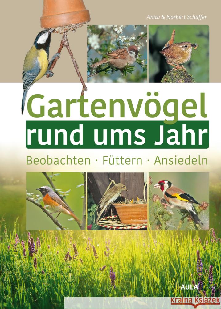 Gartenvögel rund ums Jahr Schäffer, Anita, Schäffer, Norbert 9783891048436 Aula - książka