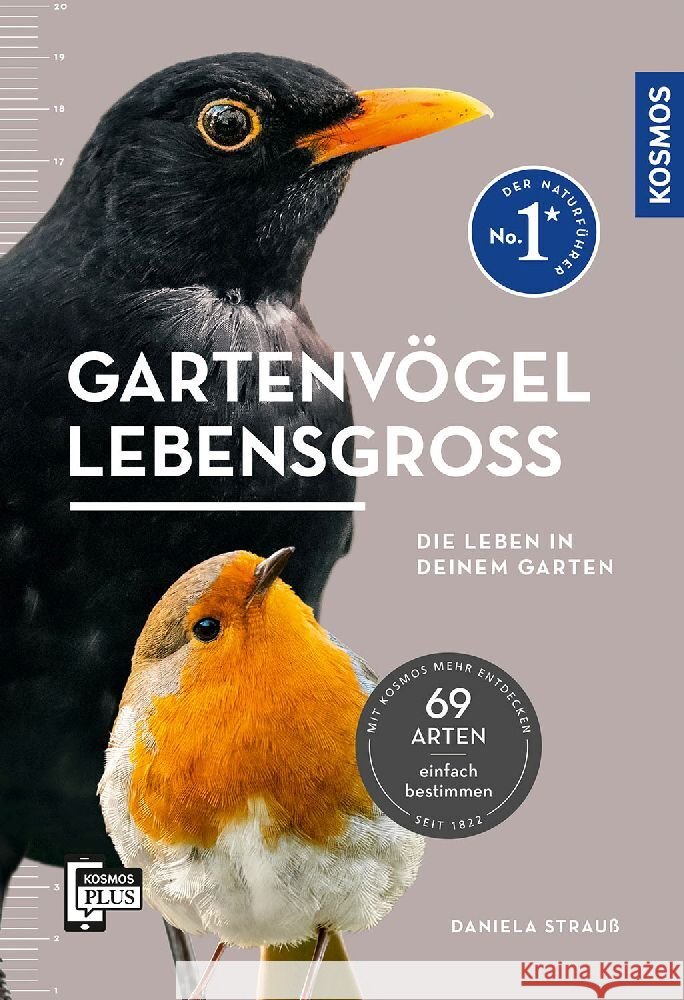 Gartenvögel lebensgroß Strauß, Daniela 9783440178614 Kosmos (Franckh-Kosmos) - książka