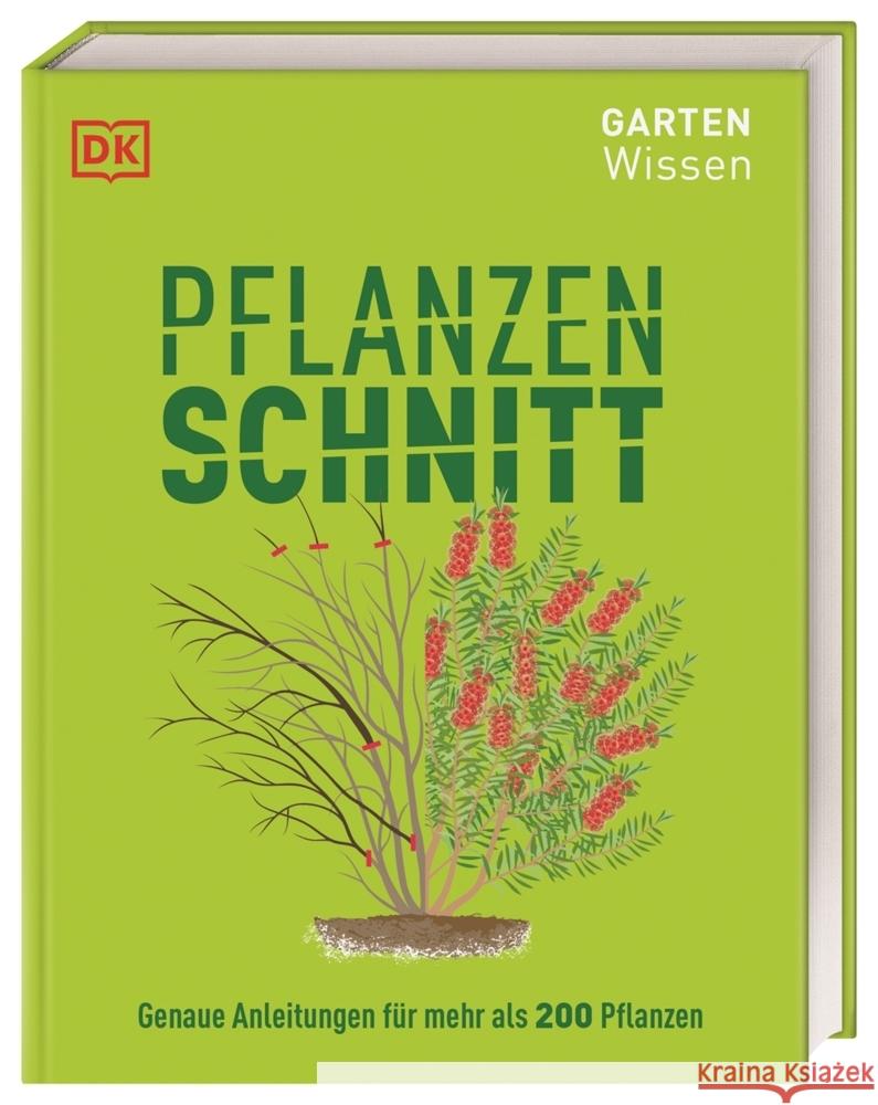 Gartenwissen Pflanzenschnitt Mikolajski, Andrew 9783831042647 Dorling Kindersley Verlag - książka