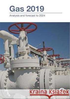 Gas 2019: analysis and forecasts to 2024 International Energy Agency 9789264401693 Organization for Economic Co-operation and De - książka