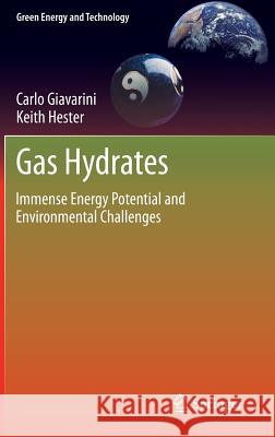 Gas Hydrates: Immense Energy Potential and Environmental Challenges Giavarini, Carlo 9780857299550 Springer, Berlin - książka