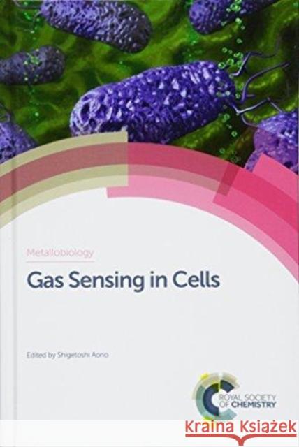Gas Sensing in Cells Elizabeth M. Boon Yoshitsugu Shiro Shigetoshi Aono 9781782628958 Royal Society of Chemistry - książka