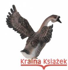Gąsior  4892900885728 Collecta - książka