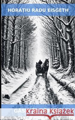 Gasit in Zapada Horatiu Rad 9783000852862 Horatiu Radu Eisgeth - książka