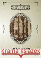 Gasnące ognie Ferdynand Antoni Ossendowski 9788367068963 Miles - książka