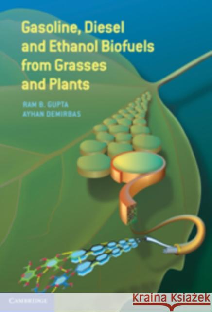 Gasoline, Diesel, and Ethanol Biofuels from Grasses and Plants Ram B. Gupta Ayhan Demirbas 9780521763998 Cambridge University Press - książka